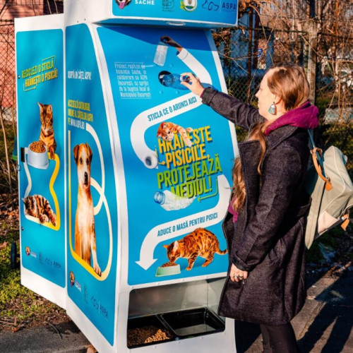 ASPA și Asociatia Sache au lansat un proiect pentru pisicile fără stăpân în București