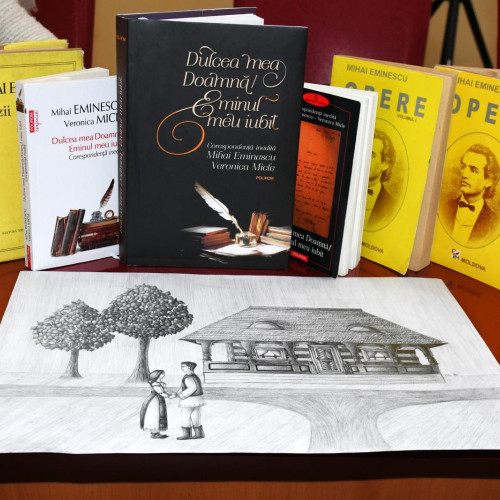 Concurs dedicat lui Mihai Eminescu la Colegiul Național „Roman-Vodă”