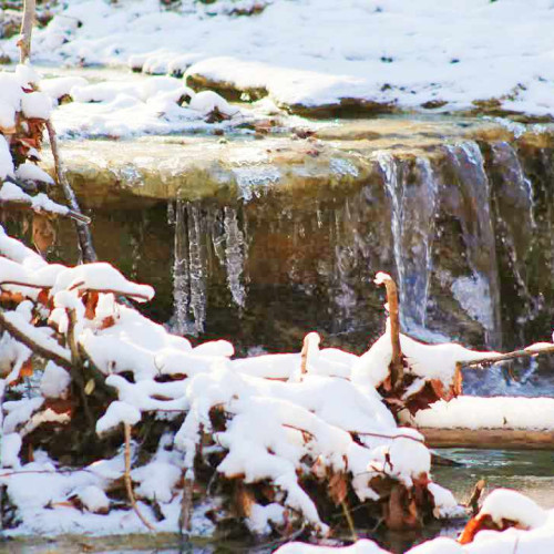 Peisaje de vis în Cheile Bahluiului, surprinse de un localnic