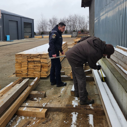Acțiuni împotriva tăierilor ilegale de arbori în județul Botoșani