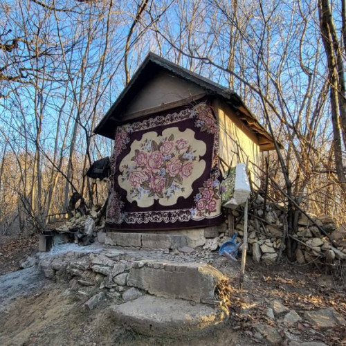 Un bărbat din Laculețe a ales să trăiască într-o troiță din mijlocul pădurii