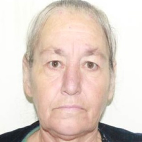 Dispariția unei femei de 69 de ani în Maramureș