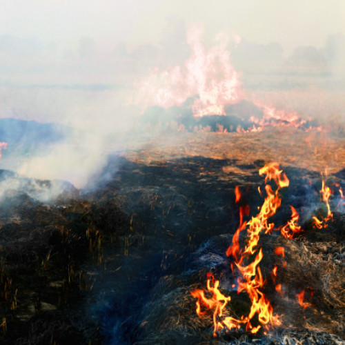 Situație critică în Petroșani din cauza incendiului de la groapa de gunoi