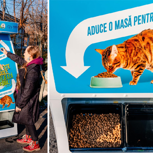 Aparatele ecologice pentru pisici fără stăpân se extind în București