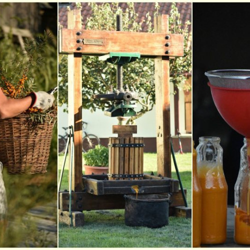 Județul Bacău promovează 9 produse tradiționale atestate