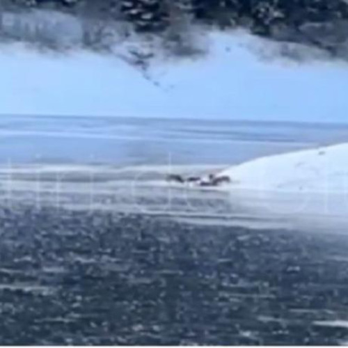 Moment rar surprins lângă lacul Beliș-Fântânele