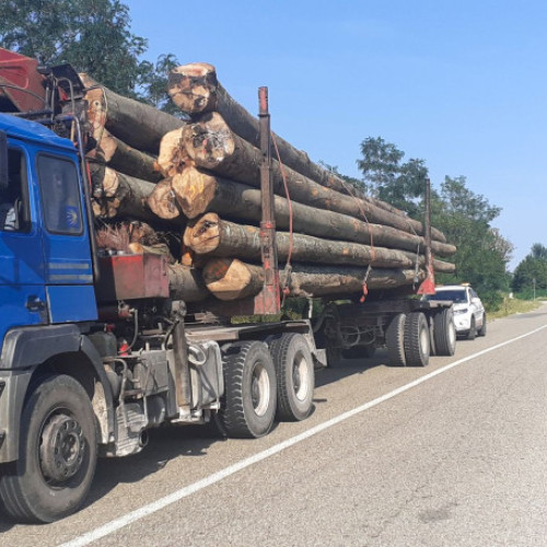 Consiliul Județean Bihor aplică sancțiuni de peste 400.000 lei pentru greutăți excesive pe drumurile județene