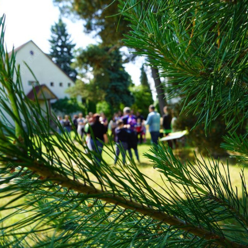 Proiect educațional pentru revitalizarea comunității în Bistrița