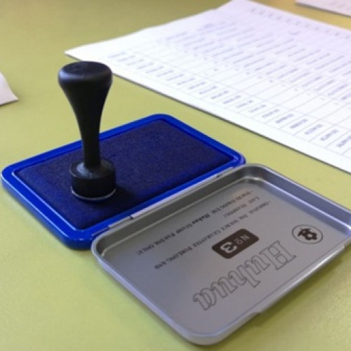 Alegătorii români din străinătate se pot înregistra online pentru votul la alegerile prezidențiale