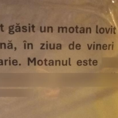 Motan accidentat în Manastur, salvat de clujeni