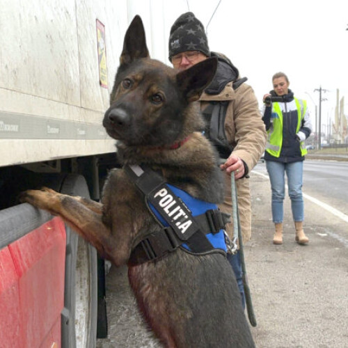 Acțiune a poliției hunedorene pentru depistarea persoanelor urmărite