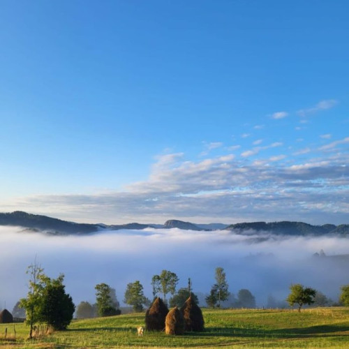 Prognoza meteo pentru ultima parte a lunii ianuarie 2024