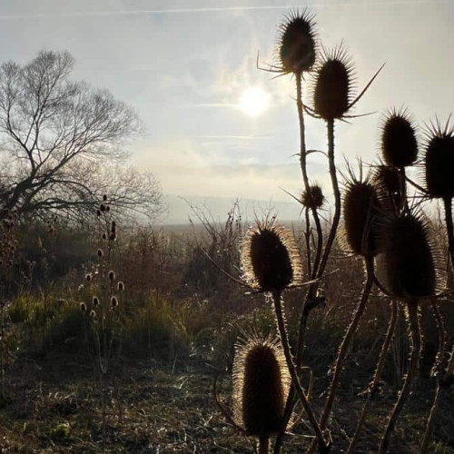Vremea până la mijlocul lunii februarie: temperaturi mai ridicate decât de obicei