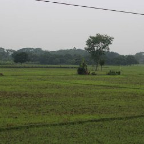 S.C. Eurovilmax S.R.L. din Târgu Neamț organizează licitație publică pentru vânzarea bunurilor