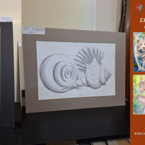 Expoziție de pictură și grafică la Biblioteca engleză din Brașov