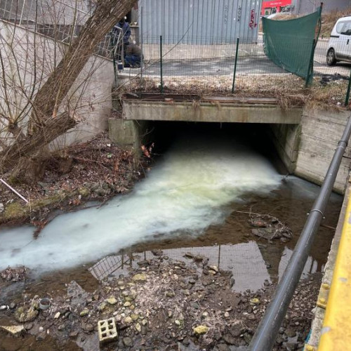 Activistii de mediu din Cluj-Napoca cer investigarea poluării apei