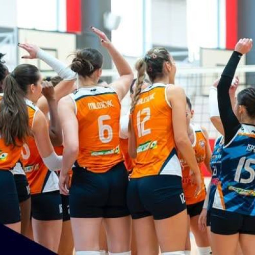 CSM Târgoviște se pregătește pentru un meci crucial în Cupa Challenge