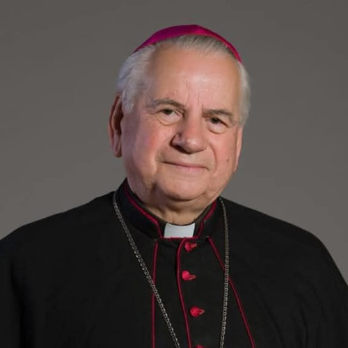 Arhiereul Alexandru Mesian, om de seamă al Bisericii Greco-Catolice, a trecut la cele veșnice