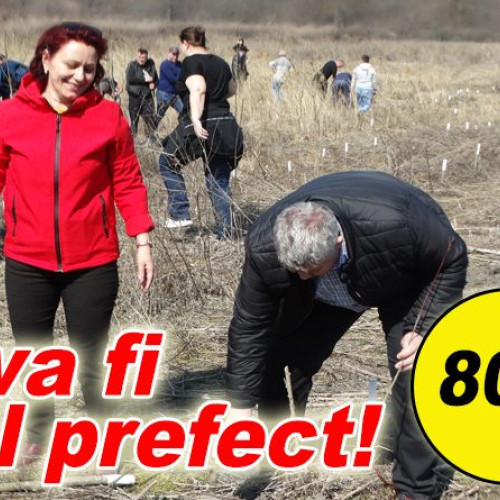 Liliana Sbarnea, viitor prefect al județului Buzău