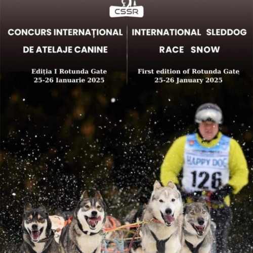 Concurs de atelaje canine la Centrul de antrenament Rotunda Gate