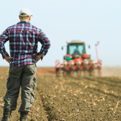 Guvernul modifică rapid Ordonanța trenulet pentru a sprijini angajații din agricultură și industria alimentară