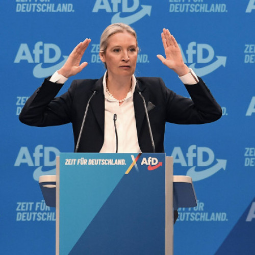 Alice Weidel cere închiderea frontierelor în Germania după atacul din Aschaffenburg