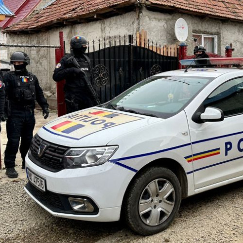 Trei bărbați reținuți pentru furt de cai în județul Bacău