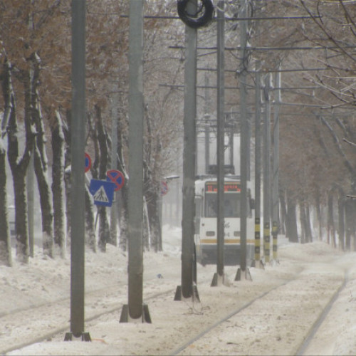 Temperaturi în creștere în București: fără zăpadă în iarna lui 2025