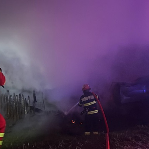 Incendiu la o fermă din Făntânele: Peste 49.000 de animale afectate de un focar de pestă porcină