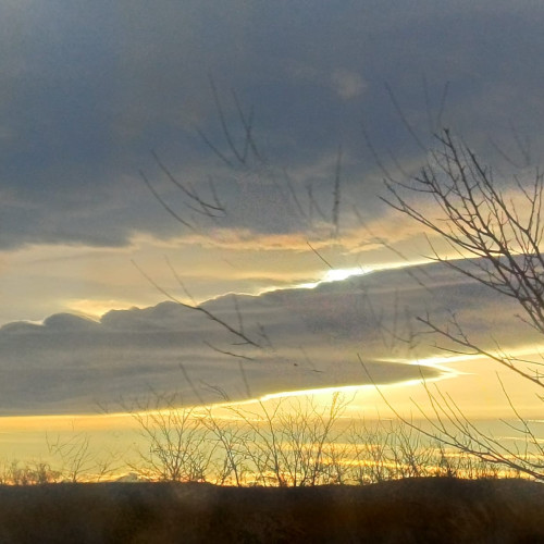 Previziuni meteorologice: temperaturi de primăvară pentru o lună