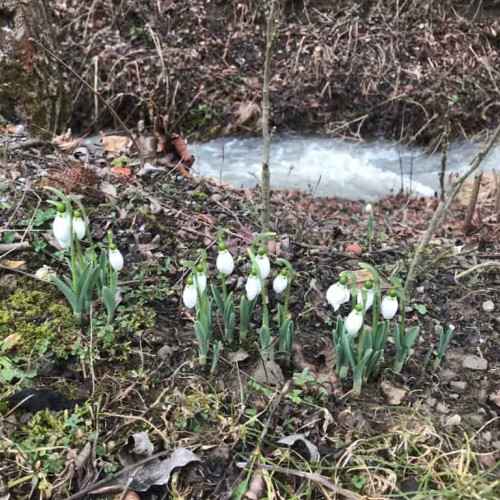 Vremea până în 24 februarie: prognoză optimistă