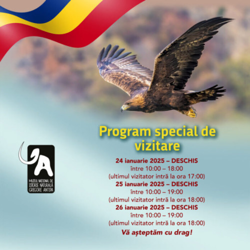Program special de vizitare la Muzeul Național de Istorie Naturală "Grigore Antipa"