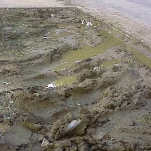 Oameni din Cluj se confruntă cu un trotuar plin de noroi