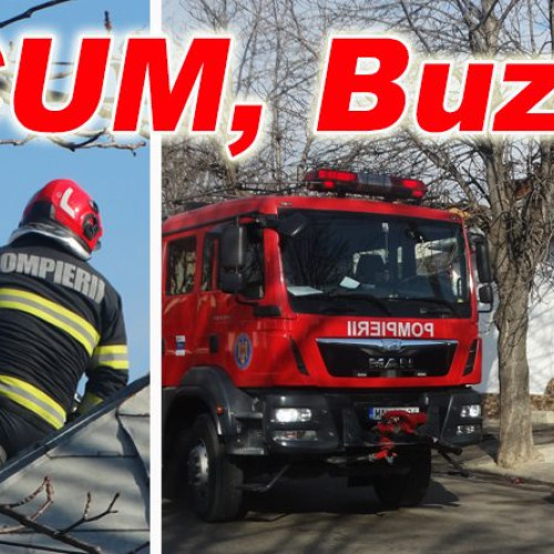Incendiu pe Bd. N. Titulescu din Buzău din cauza unui horn supraincălzit