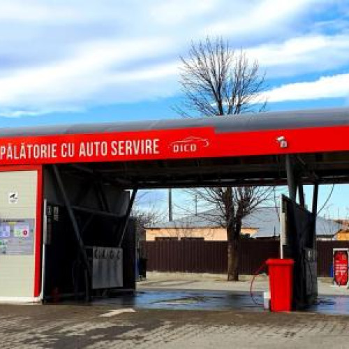 Clujean nemulțumit de excrementele de ciori, amenință cu măsuri drastice