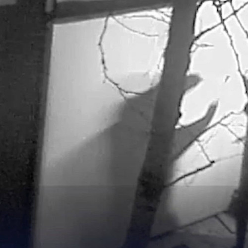 Jaful de la Muzeul din Drents: Imagini șocante publicate de poliția olandeză