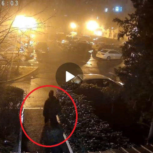 Spargere în Constanța: O femeie cere ajutorul vecinilor după ce apartamentul ei a fost jefuit