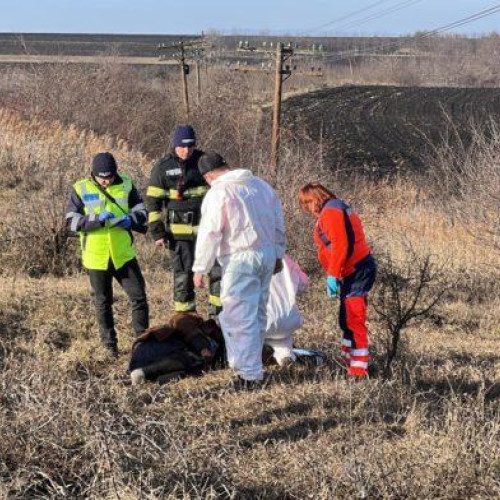 Femeie de 72 de ani, ucisă de tren în Cucorani, Botoșani