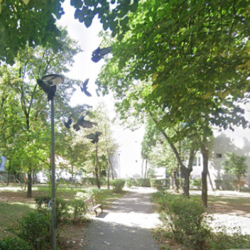 Problema câinilor lăsați liberi în cartierul Grigorescu din Cluj-Napoca