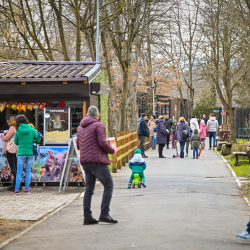 Primăria Sibiu deschide un magazin de suveniruri în Grădina Zoologică