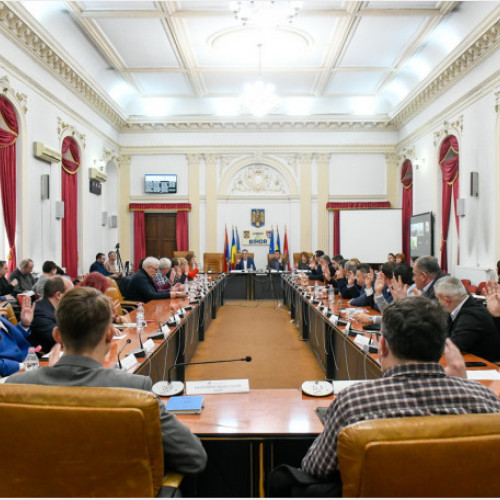 Consilierii județeni au aprobat modernizarea drumul de legătură între Oradea și Paleu