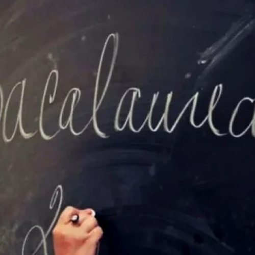 Incep probele de competențe pentru examenul de bacalaureat 2025