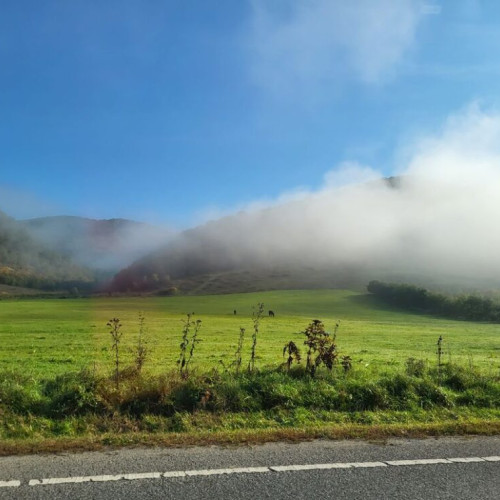Asociația Crescătorilor de Taurine și Cooperativa Agricolă Teaca, mari datornici la Primăria Teaca