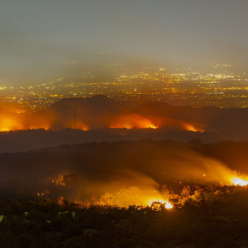 Incendii devastatoare în sudul Italiei: mafia ar putea fi implicată