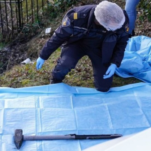 Noi detalii în cazul furtului tezaurului dacic din Olanda