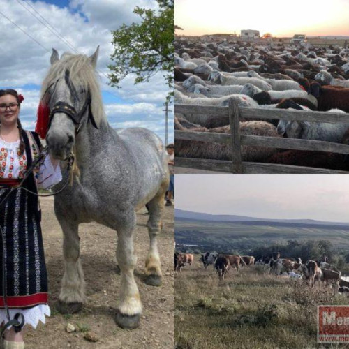 Aura-Maria Adiaconitei: Tânără talentată din Botoșani care îmbină tradiția cu educația