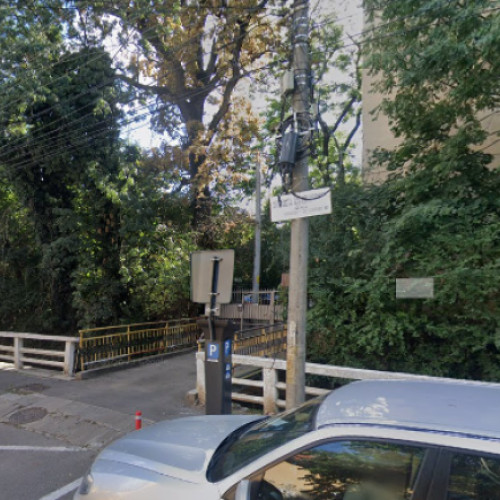 Locuitorii de pe strada Argeș din Cluj-Napoca se plâng de parcările ilegale