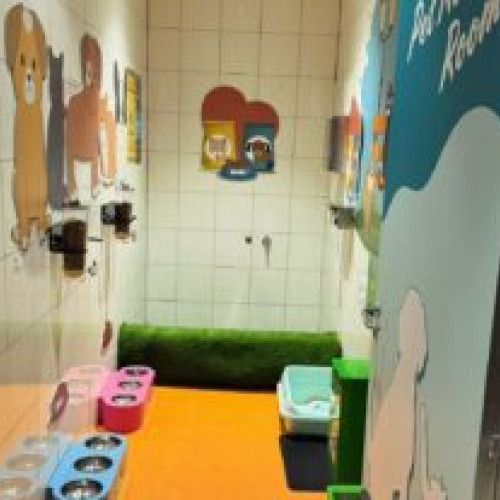 Aeroporturile din Europa încep să se adapteze pentru animalele de companie