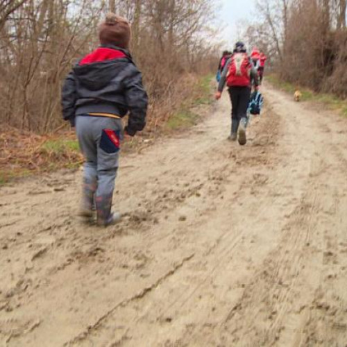 Nemulțumiri față de starea străzii Viile Dâmbul Rotund din Cluj-Napoca
