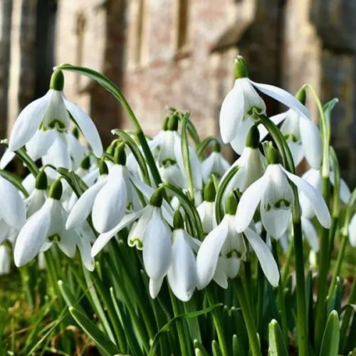 Vremea se răcește după 30 ianuarie, conform prognozei meteo